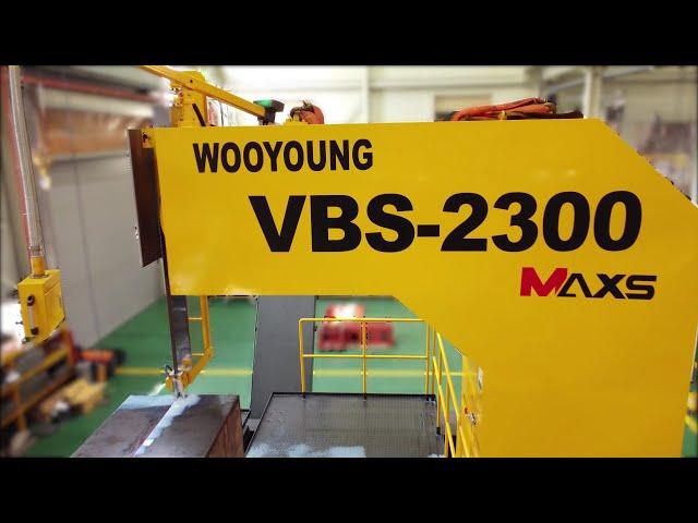 WOOYOUNG, Vertical Saw Machine VBS-2300(MAXS)