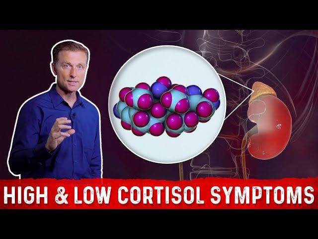 Low vs. High Cortisol Levels Symptoms Explained By Dr.Berg