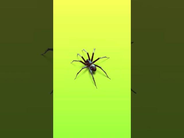 spider green display #green #greenscreen #grandtheftauto #shortvideo #spider #greeneffect #viral