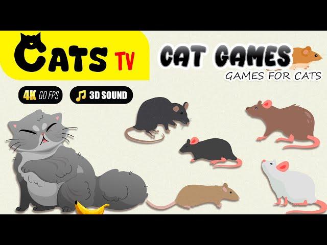 CAT TV | Realistic Mouse for Cats | CAT GAMES with 3D Sound