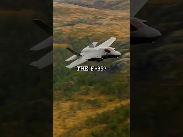 Is the A-10 Warthog Better than the F-35?