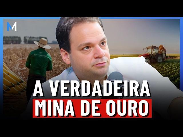 COMO GANHAR DINHEIRO COM O AGRONEGÓCIO NO BRASIL?