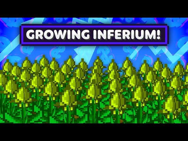 Minecraft Opolis Inc | UPGRADED CLOCH, INFERIUM SEEDS & GROWING CERTUS #8 [Modded Questing Survival]