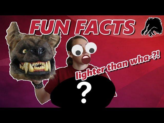 Hogger: Top Ten Fun Facts!