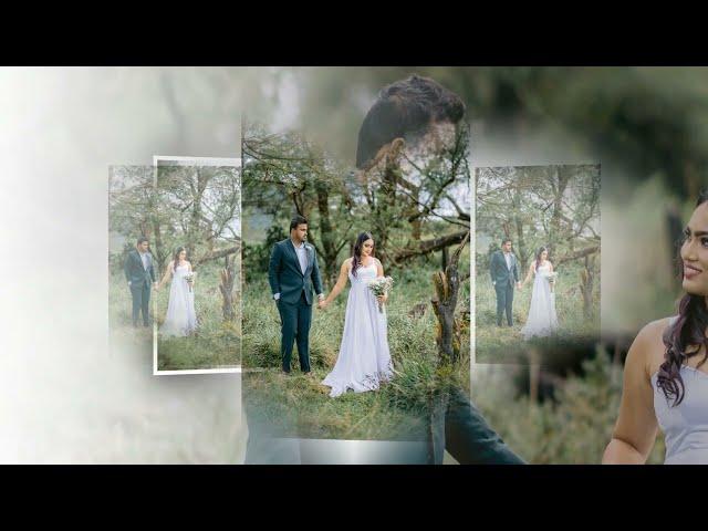 SACHITH+ASHA PRE SHOOT #Wedding #Srilanka #Nuwaraeliya #preshoot