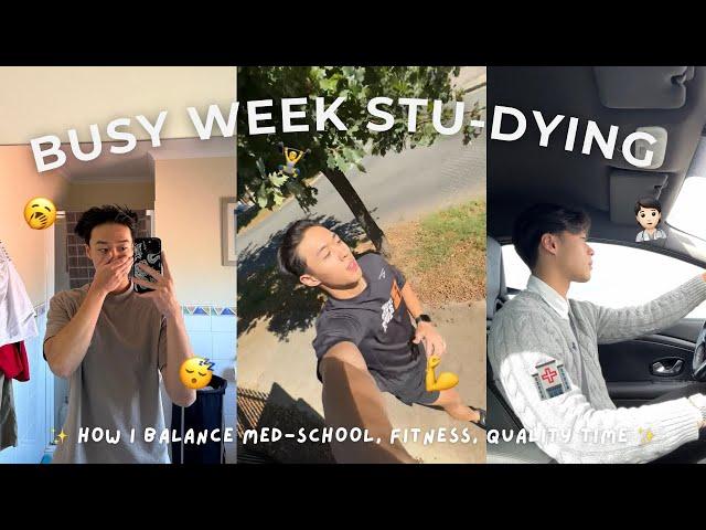 A BUSY WEEK STU-DYING // PETER LE