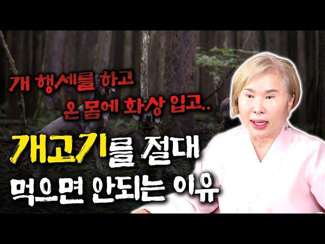 용한무당 [호산심보배] 사례설명 674 - 이게 바로 동물부정입니다 / 개고기를 절대 먹으면 안되는 이유 #개고기 #보신탕 #동물학대