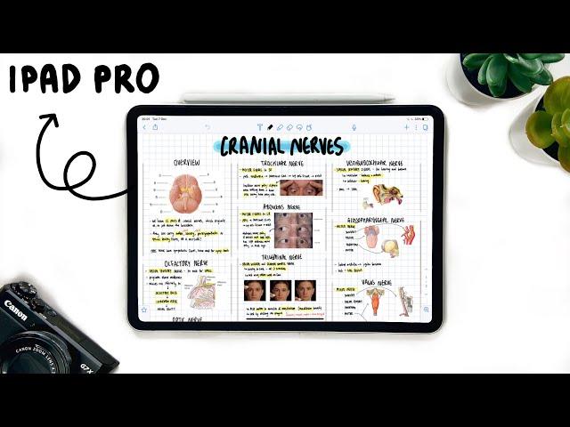 LEARN HOW TO MAKE NOTES ON NOTABILITY IN 5 MINUTES