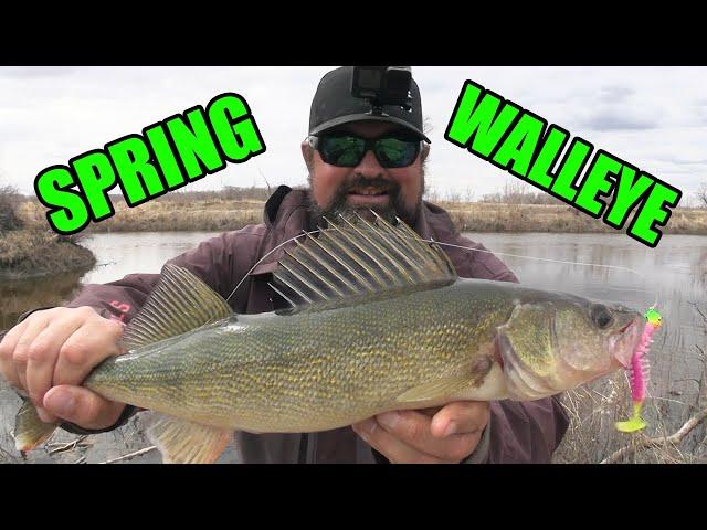 Walleye Fishing from Shore!