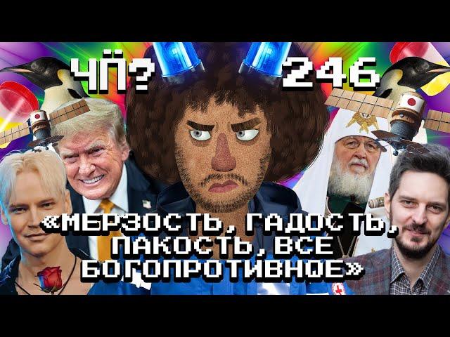 Чё Происходит #246 | Кац стал министром обороны Израиля! Путин против мата, Трамп разгромил Харрис