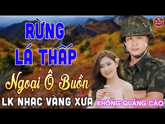 MV RỪNG LÁ THẤP  LK Nhạc Vàng Xưa CÔNG TUẤN Toàn Bài Hay Nghe Cực Êm Tai️KHÔNG QUẢNG CÁO