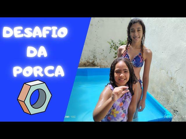 Desafio da porca na piscina | Pool Pig Challenge