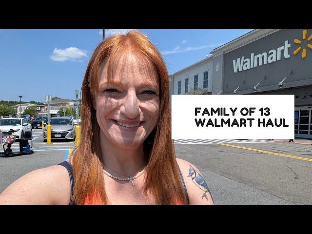 FAMILY OF 13 WALMART HAUL