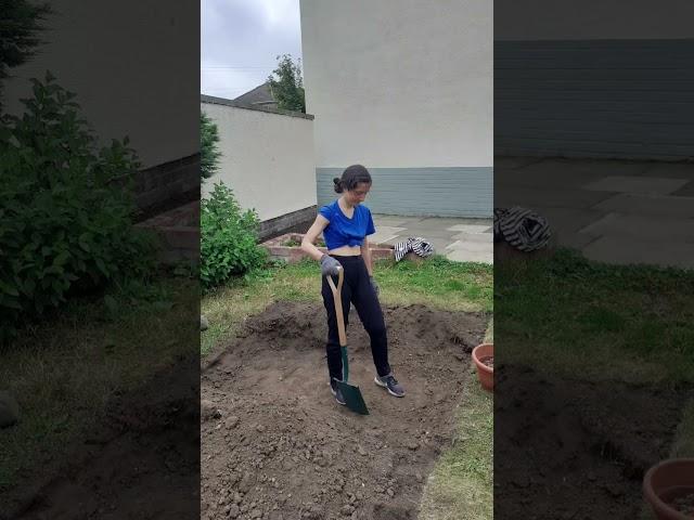 Backyard Garden Transformation | Growing Food in Scotland 󠁧󠁢󠁳󠁣󠁴󠁿