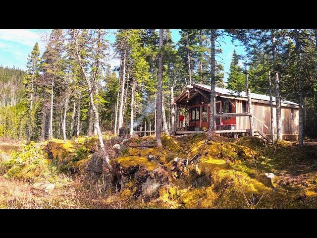 Okay:  Finally Things Are Coming Together At The Off Grid Remote Cabin Ep. 114