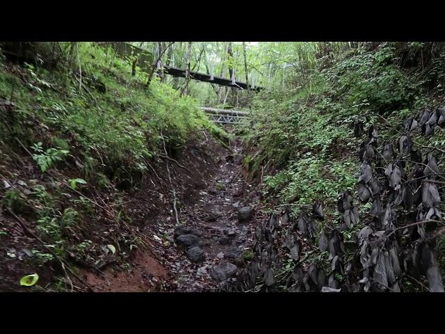 村山古道。天照教社から先