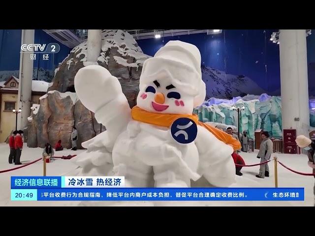 [经济信息联播]冷冰雪 热经济 科技助力降本增效 冰雪运动“南展西扩东进”前景广阔 | 新闻来了 News Daily