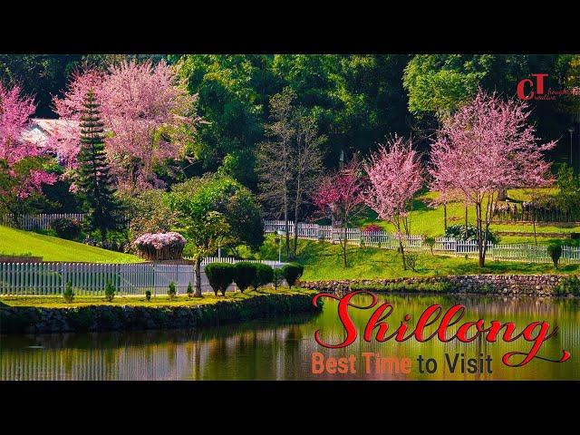 Shillong Trip Story | Shillong Tourist Places | Shillong Vlog