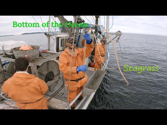 Fishing for Halibut with the Guys | Hauling Halibut Longline