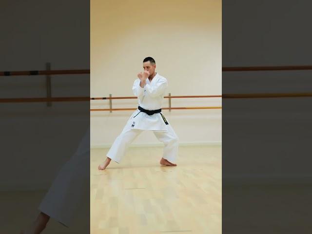 SHOTOKAN KARATE BLACK BELT (LEVEL 100) 