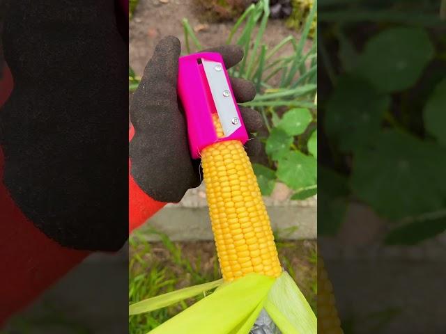 Fastest way to peel corn?! 