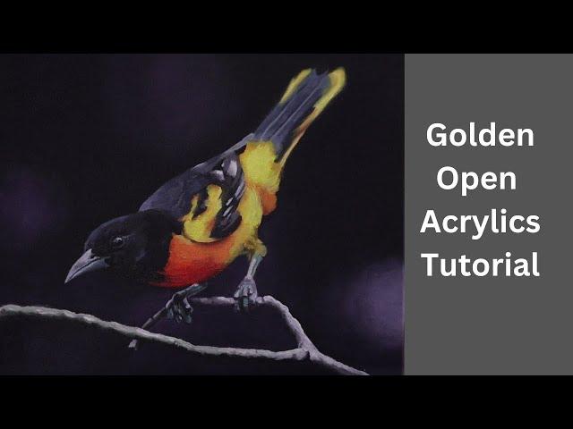 Golden Open Acrylics Tutorial