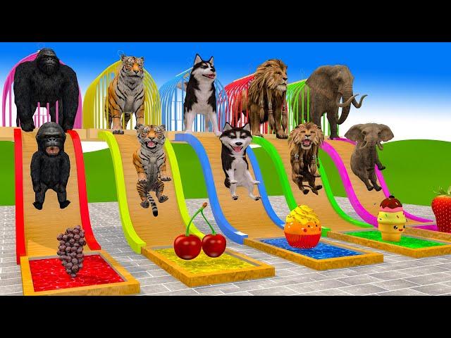 Biggest Cage Game Game With Cow Elephant Gorilla Tiger Dinosaur Wild Animal Escape Cage Game