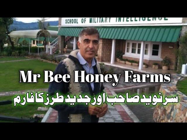 Mr Bee Honey Farm | Honey bee farming in Pakistan | Modern Bee farming | Beekeeping in urdu / hindi