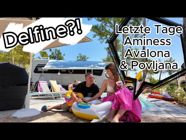 Aminess Avalona Urlaubstage I Hitzewelle I Delfinsuche I Povljana