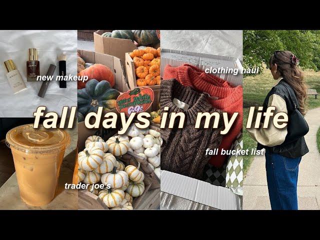 FALL VLOG  fall shopping, clothing haul, pumpkins, fall bucket list, trader joes, & more! 2024