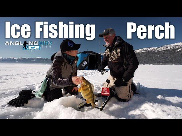 Ice Fishing Perch