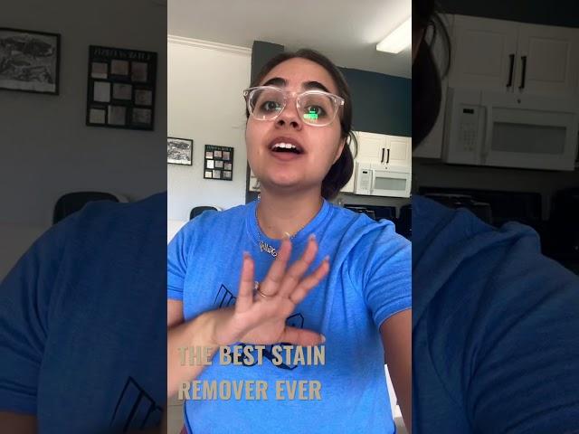 THE BEST STAIN REMOVER EVER | CAN GET RID OF ALMOST ANY FOOD STAIN |  MISS MOUTH’S STAIN TREATER