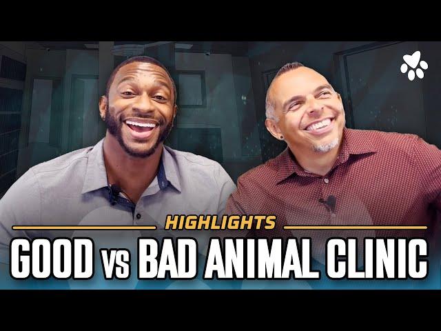 Good vs bad animal clinics to have your pet spayed or neutered | Ep 2 - Segment 10