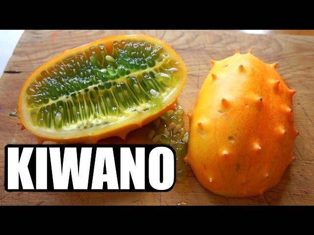 KIWANO | HORNED MELON Taste Test | FRUITY FRUITS