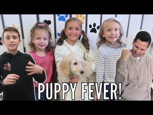 PUPPY SHOPPING! | Are we Ready for A PUPPY? | Life As We GOmez