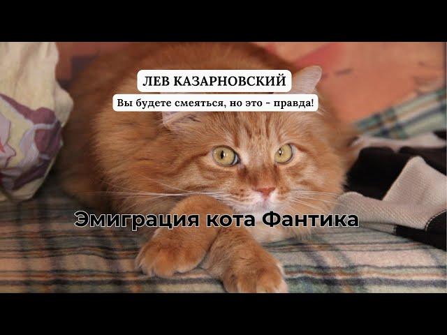 ЭМИГРАЦИЯ КОТА ФАНТИКА (Вы будете смеяться, но это - правда)