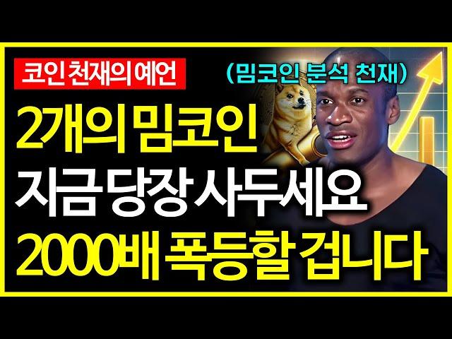 밈코인 천재 분석가 "이 밈코인 2000배 폭등할 겁니다"