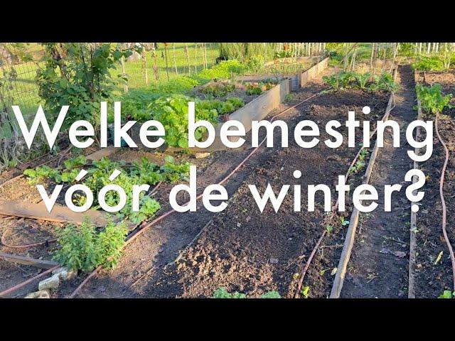 Ini's Moestuin #211 - Welke bemesting vóór de winter? Dierlijke mest, compost of groenbemesters?