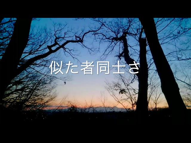 高瀬祐治 Yuji Takase　『花と猫と人間と』　（Lyric Video)