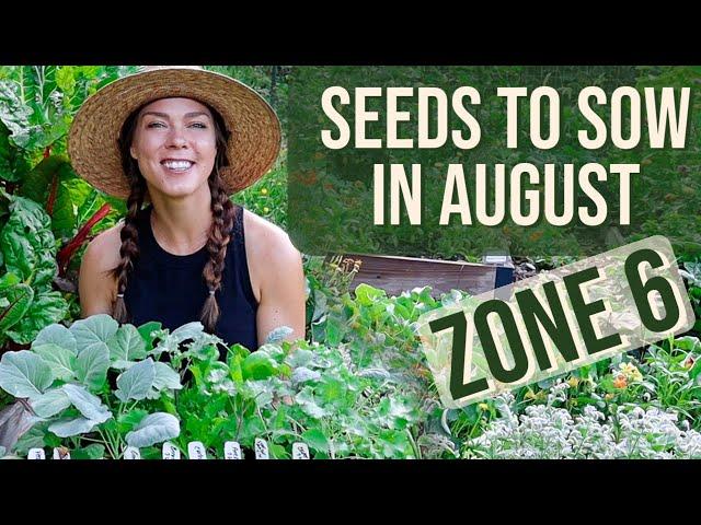 Vegetable Seeds to Plant in August: Zone 6