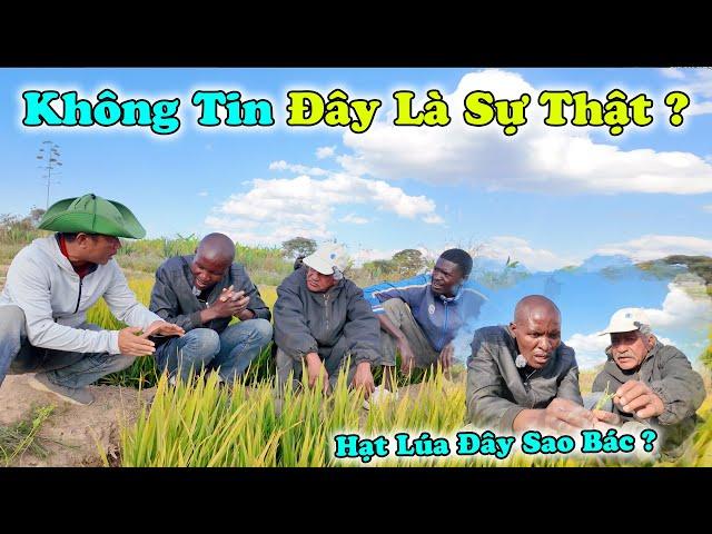 Bác Trưởng Thôn và Anh Thư Ký Bản Cachicombo Không Tin ? Cho Đến Khi Mắt Thấy và Tay Chạm Vào !!!