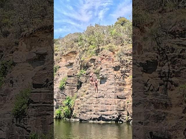 Angourie Green Pool Jump #australia #shorts