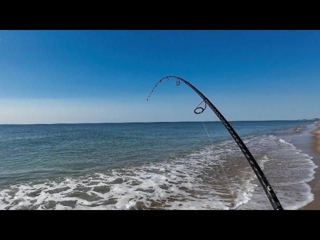 Surf Fishing Crystal Clear Waters for Early Fall Run Action