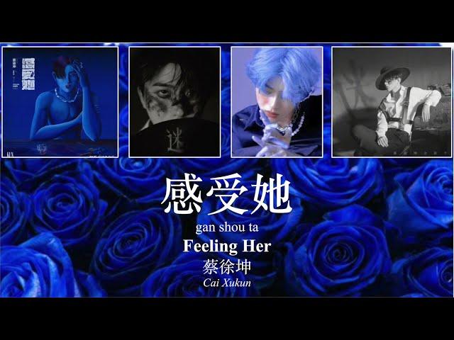 [ENG Sub + Pinyin]《感受她》Feeling Her (蔡徐坤《迷》专辑 Cai Xukun "Unknown" Album) Lyrics Video 歌词