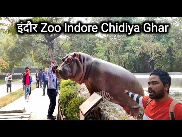 इंदौर Zoo | Indore Chidiya Ghar | Indore Zoo | Zoo Vlog | Indore City | Vlogs Rahul