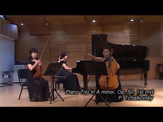 Piano Trio in A minor, Op. 50, 1st mvt / P. Tchaikovsky / (피아니스트 김소원)