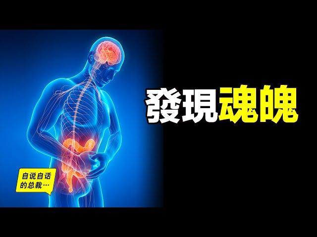 最新醫學發現，竟是道家魂魄學說，人體「第二大腦」的五個驚奇……|自說自話的總裁