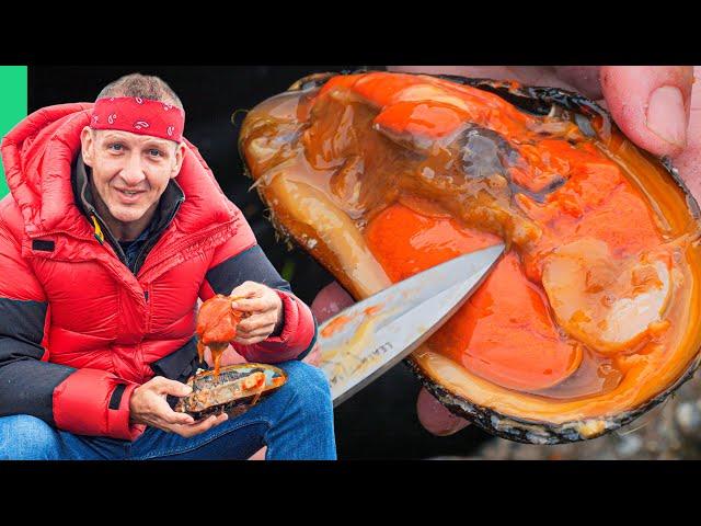 Surviving Europe’s BIzarre Seafood Nation!! The Faroe Islands! (Full Documentary)