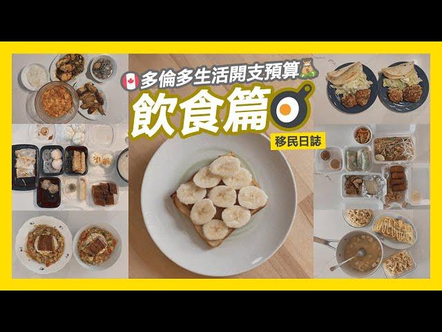 【移民日誌️】多倫多生活開支預算｜最終回｜飲食篇 (中文字幕)