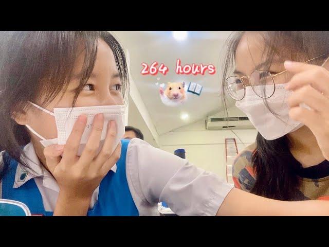 一天只睡两个小时? !揭秘我的高效期末周! 264 hours before exam: a study vlog  中学读书vlog 